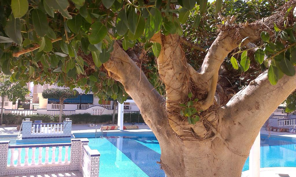La Mata Vinamar Apartment ภายนอก รูปภาพ